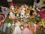 DOLL & BARBIE COLLECTION
