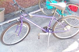 Diamond Back bike