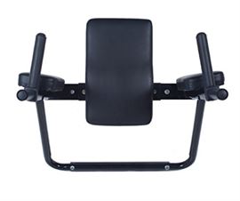 Wall Mounted Dip Station