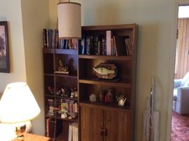 LR - bookshelf - filled with books