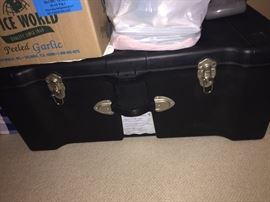 Large Storage Trunk