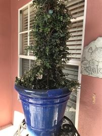 UNADJUSTEDNONRAW thumb eaa