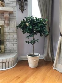 Amazing quality artificial tree with vase Paid $600, asking $300