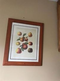 Framed botanical print $50