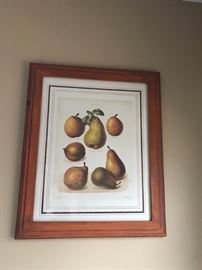 framed botanical print 2 $50