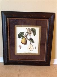 Print of pears