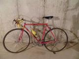 Trek 660