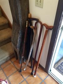 Nice cane collection