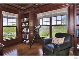 Mitchel Gold Leather Chair and Celestron Ultima 2000 Computer Automated Telescope and Stabilizer too