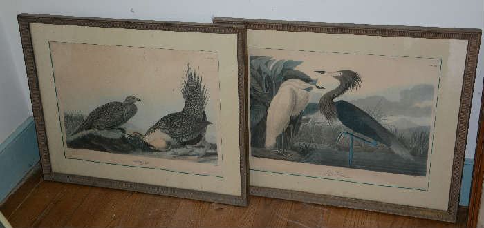 Pair of Audubon prints 20th C