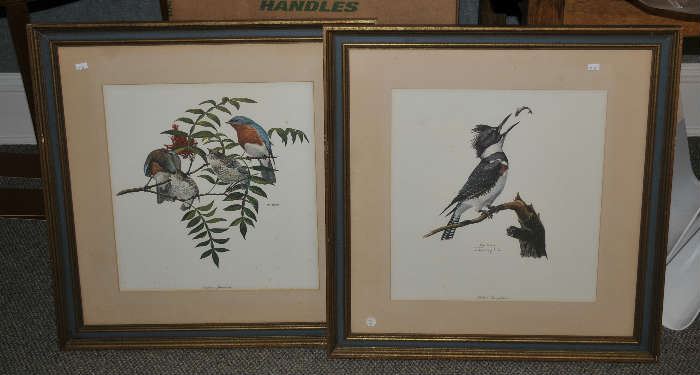 Ray Harm bird prints, Eastern Bluebird, Belted Kingfisher
