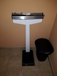 Professional Scale 