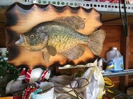 Professional crappie mount