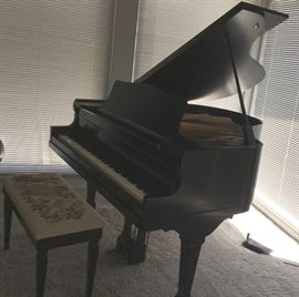 Black Lacquer baby Grand piano