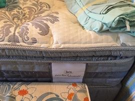2  new twin Serta perfect sleeper beds