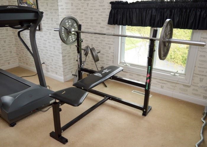 SOLD--Lot #353, Home Exercise - Bench Press w/ Dumbell & Weights, $75