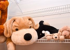 Stuffed Animals