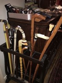 Neat cane collection