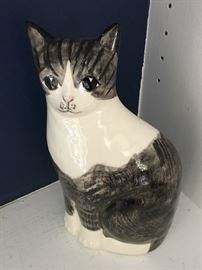 Cute cat needs a good home!