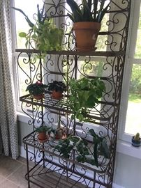 Wrought iron etagere -- house plants for sale too!