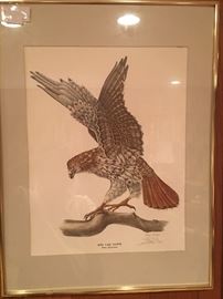 local Clarksville , TN. artist - Toni Biagi - signed