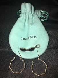 Tiffany & Co. ear rings and charm