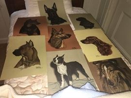 various collection of hand drawn animal prints