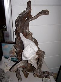 Drift Wood
