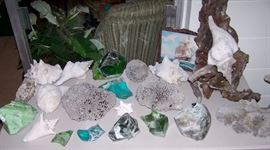 Shells, Coral & Chunk Glass