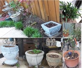 Garden tools, ladder
Pots, hanging pots, planters in resin to heavy cement, huge to tiny
Décor
Trellises and plant holders 
Live plants
Cement bird bath, fountain, bench and planters
