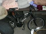 GT Bike.