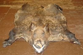 Wild Boar Rug