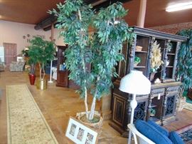 Assortment of trees , large and small