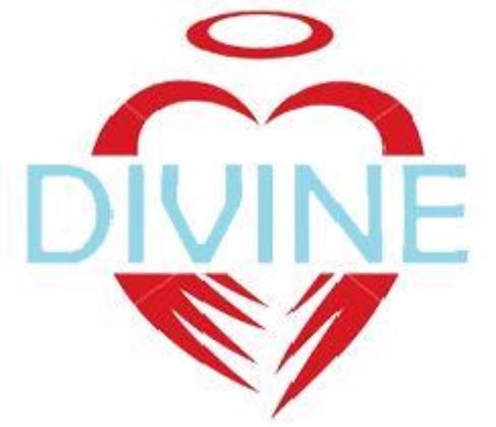 Divine Estate Sales Logo