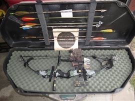 Sweet Cobra Bow comes with hard case and arrows
