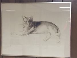 Pencil Drawing of Cat by Haller