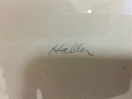 Pencil Drawing of Cat by Haller