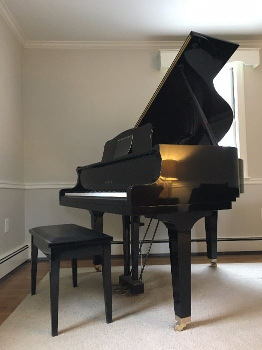 Black Lacquer Yamaha Baby Grand Piano: tuned and ready to play!