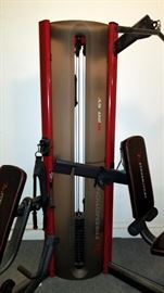 Freemotion Dual Station Home Gym  $700