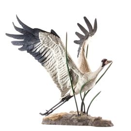 Boehm Limited Edition Bisque Porcelain "Whooping Crane": A Boehm limited edition bisque porcelain Whooping Crane figurine. Featured is a large delicate naturalistic hand painted porcelain bird depicted just as it is landing, numbered 111. Signed by Helen Boehm and maker’s mark to the underside. Boehm Porcelain was started by Edward Marshall Boehm and his spouse, Mrs. Helen F. Boehm. Boehm was an American sculptor most known for his fine and elegant porcelain birds and wildlife sculptures.