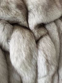 Close up of collar area