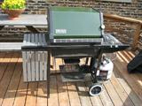 Weber gas grill