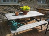 Austailian wood gumnut picnic set