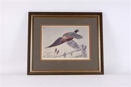 John Ruthven Offset Lithograph "Ring-Necked Pheasant": An offset lithograph after a work by John Ruthven titled Ring Neck Pheasant. This print is plate IV of the Colonial series and depicts a pheasant in flight over tall grass and a fence.