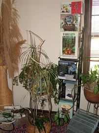 garden items, water fountains and water sculptures, plants