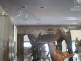 Beswick Horse   great horse  terrible picture