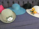 Men and Ladies Hats