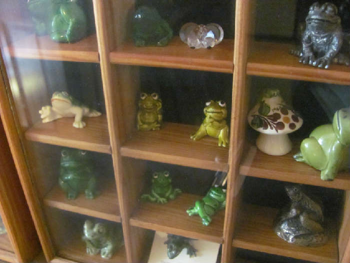 Very large frog collection