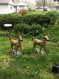 Super Heavy Deer family