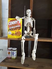 Mr. SKELTON. SLUG PELLETS 